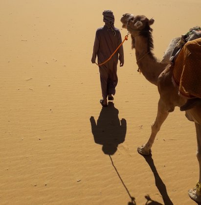 Natuurreizen naar de weostijn van Egypte met Inside Nature